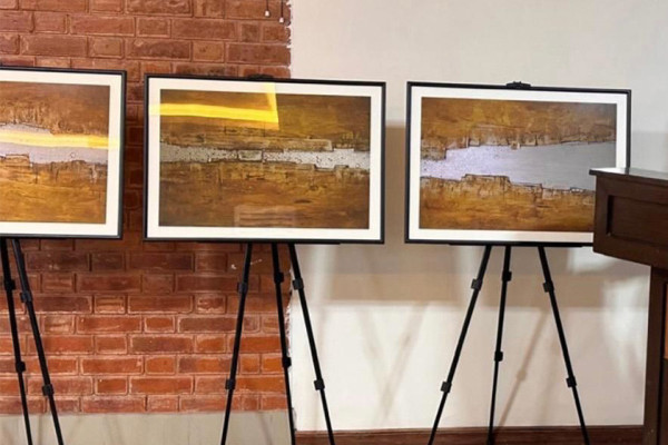 ‘नेपाली कलाकारको चित्रकलामा झल्किएका पाकिस्तानका रङहरू’